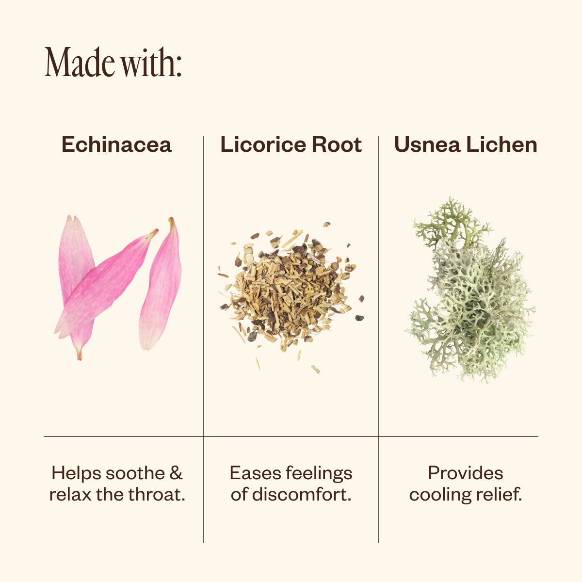 Echinacea