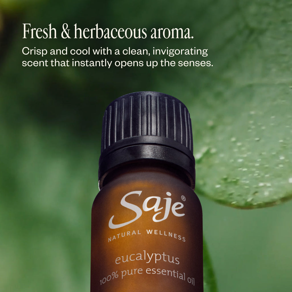 Eucalyptus Oil