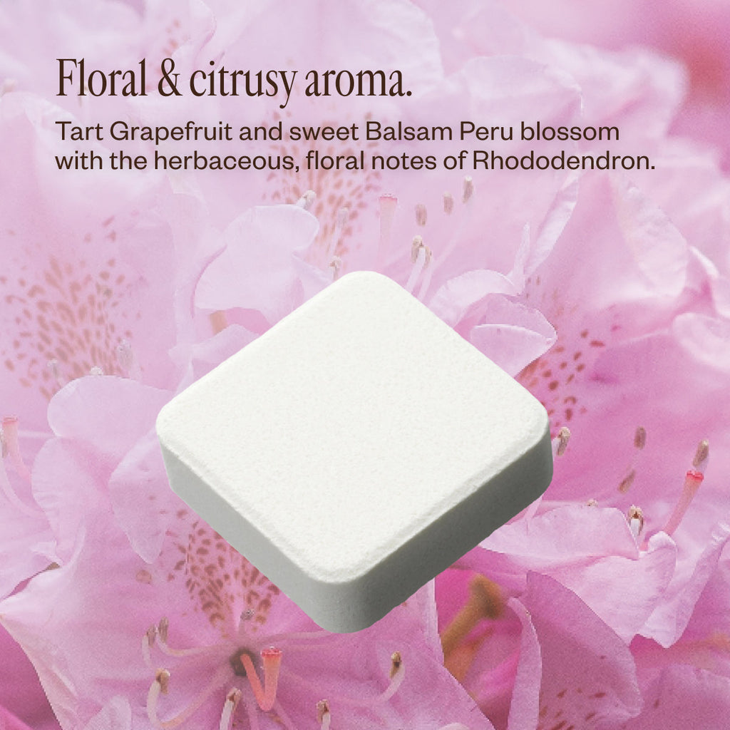 Bloom Bliss