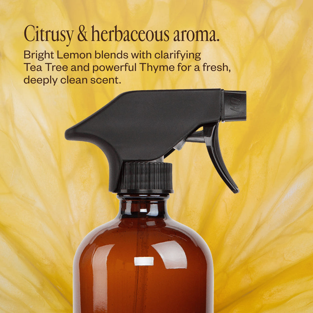 Home Cleaning Starter Kit