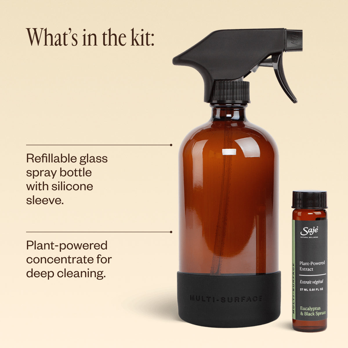 Multi-Surface Cleaning Kit
