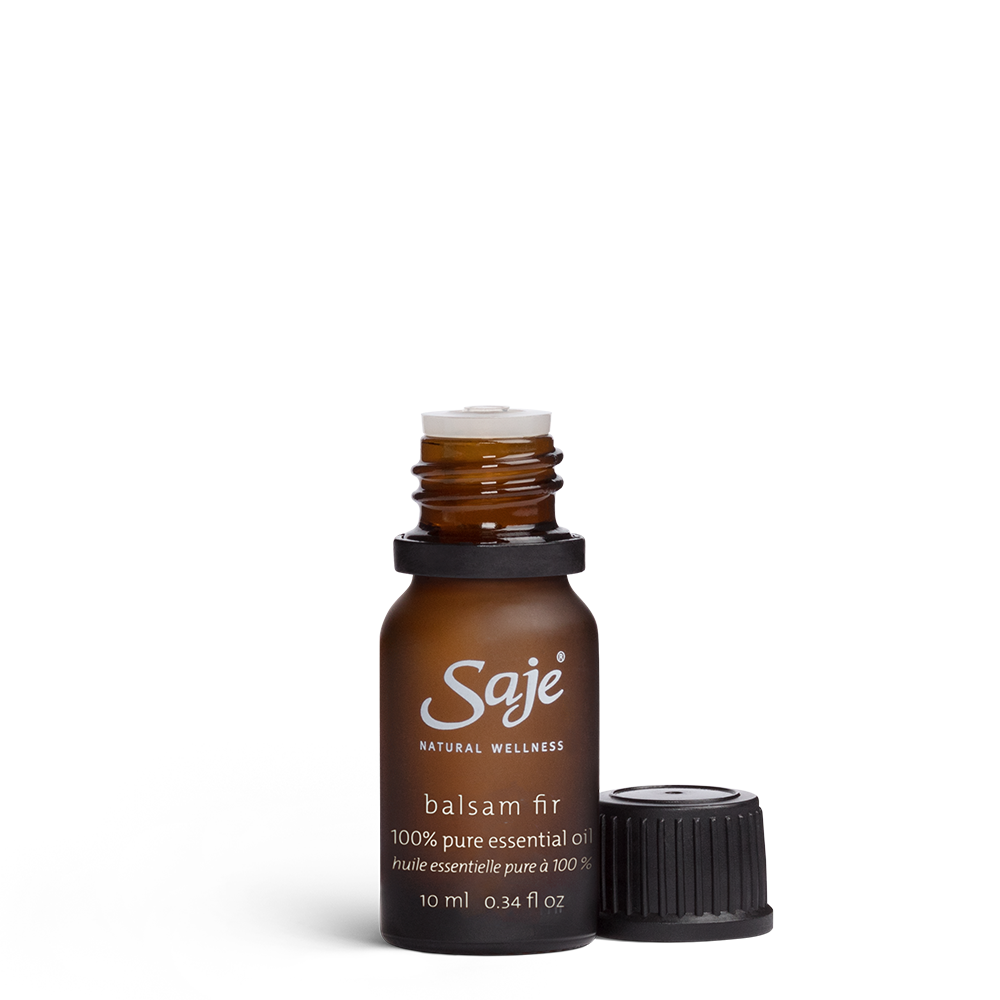 Balsam Fir
